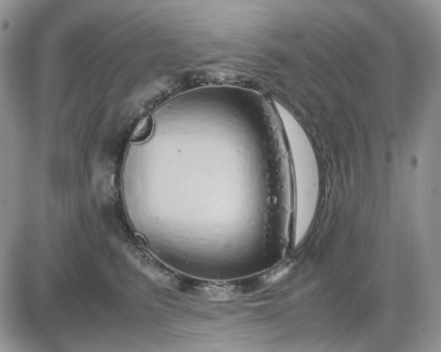 X0000081450615200701261914