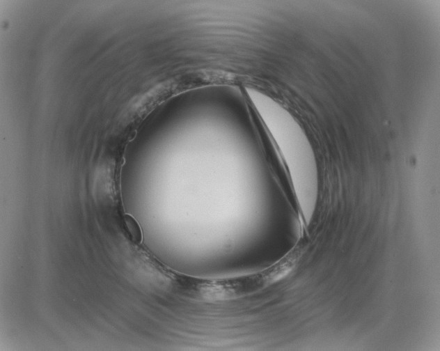 X0000081450616200701261914