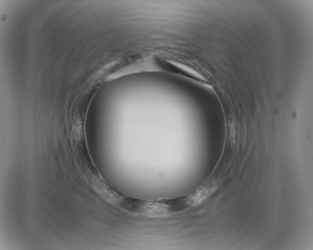 X0000081450617200701261914