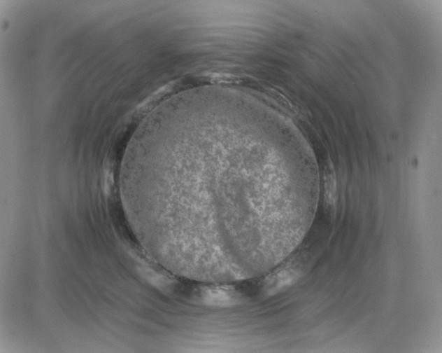 X0000081450618200701261914