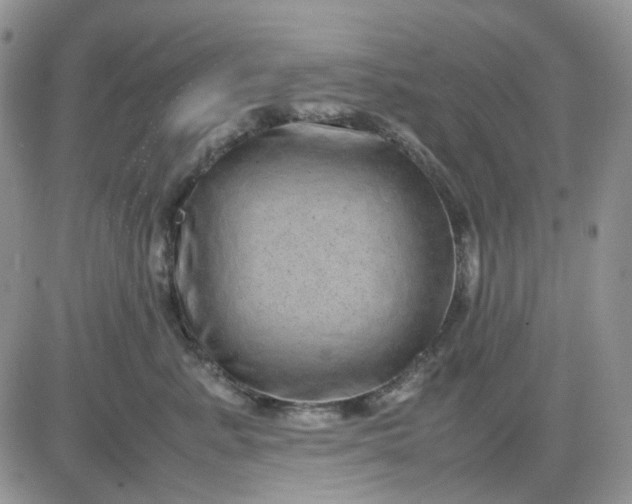 X0000081450619200701261914