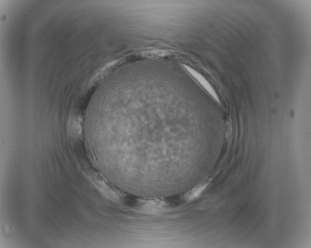 X0000081450621200701261914