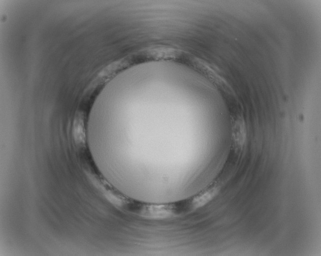 X0000081450622200701261914