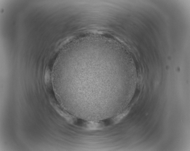 X0000081450623200701261914