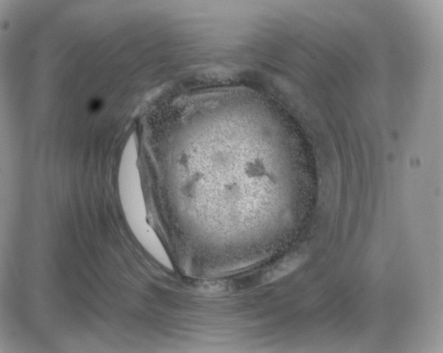 X0000081450624200701261914