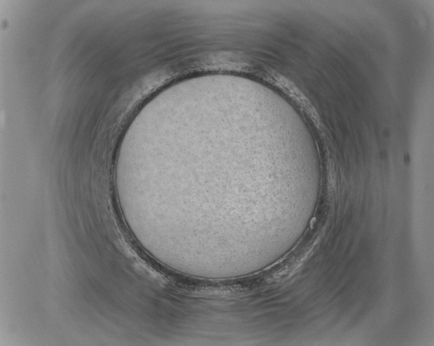 X0000081450625200701261913