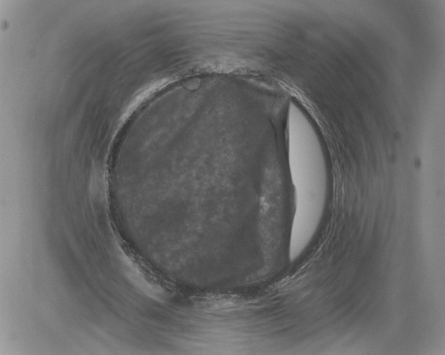 X0000081450626200701261913