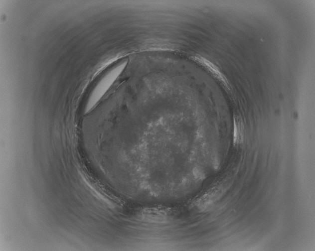 X0000081450627200701261913