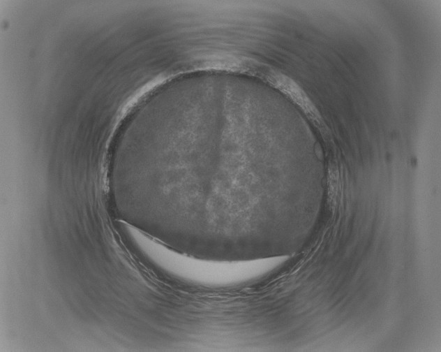 X0000081450628200701261913