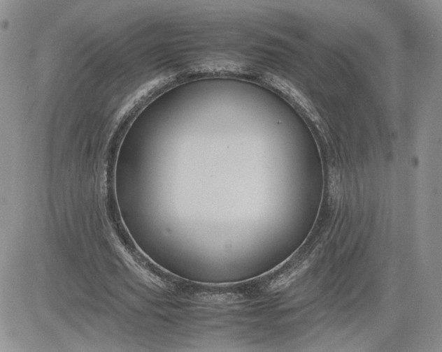 X0000081450629200701261913