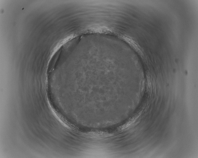 X0000081450630200701261913