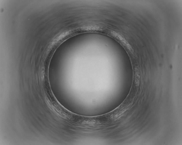 X0000081450631200701261913