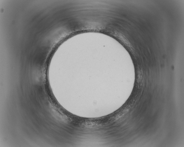 X0000081450632200701261913