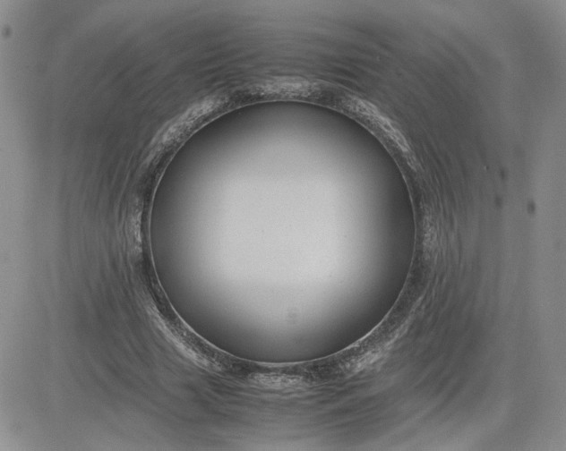 X0000081450633200701261913