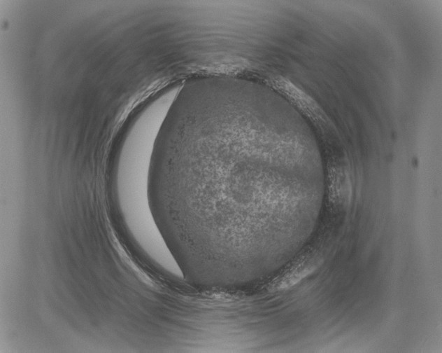 X0000081450634200701261913