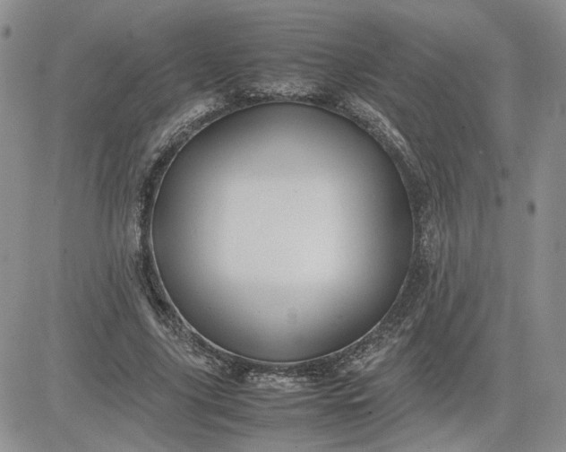 X0000081450635200701261913