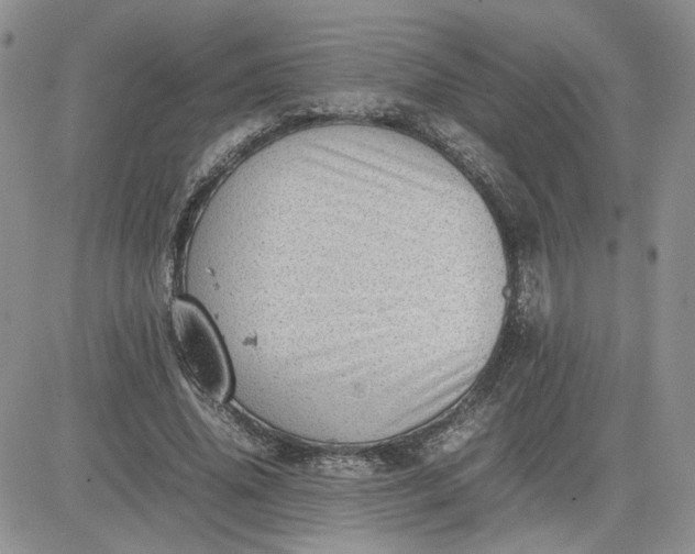 X0000081450636200701261913