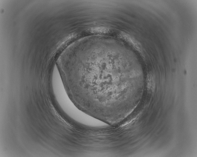 X0000081450637200701261914