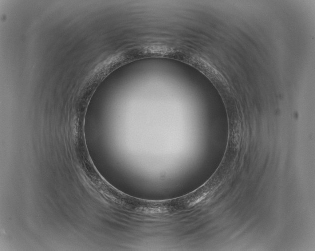 X0000081450639200701261914