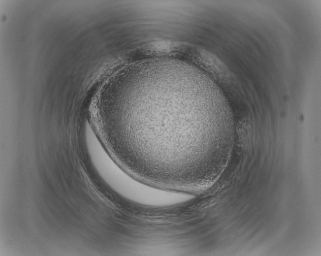 X0000081450642200701261914