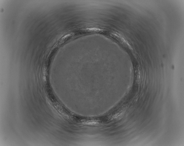 X0000081450643200701261914