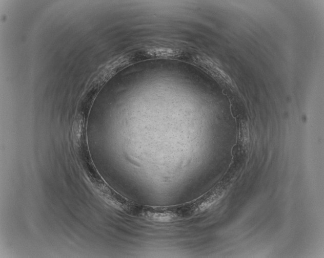 X0000081450645200701261914