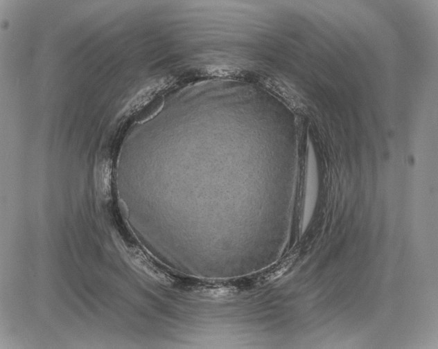 X0000081450646200701261914