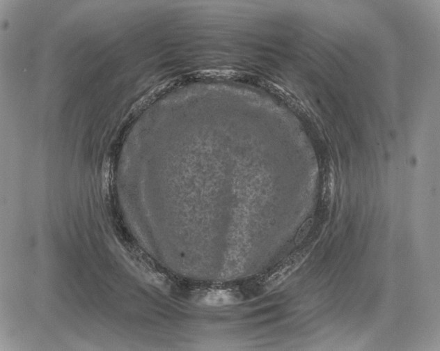 X0000081450647200701261914