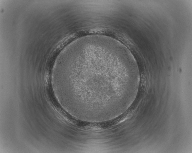 X0000081450648200701261914