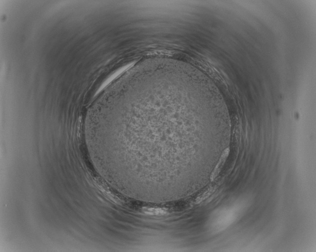 X0000081450649200701261914