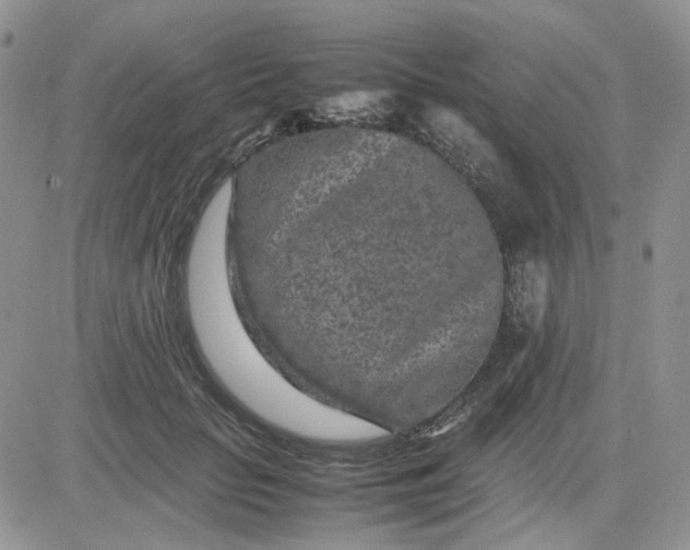 X0000081450653200701261914