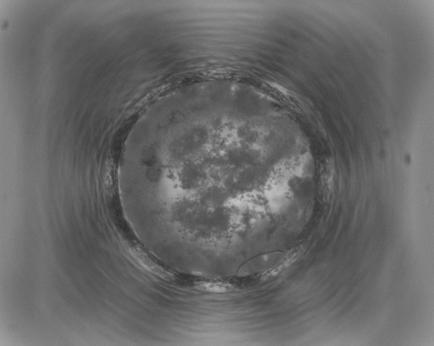 X0000081450654200701261914