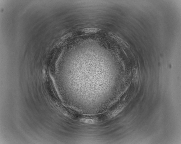 X0000081450655200701261914