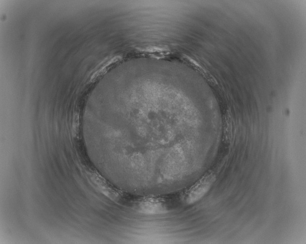 X0000081450656200701261914