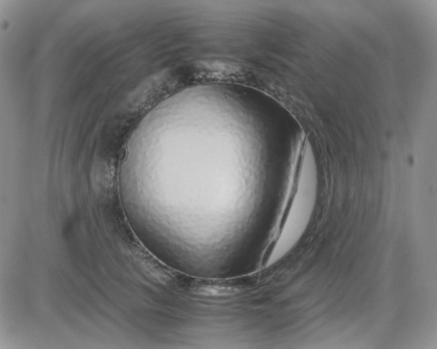 X0000081450657200701261914