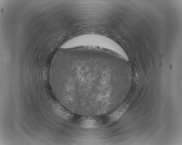 X0000081450658200701261914