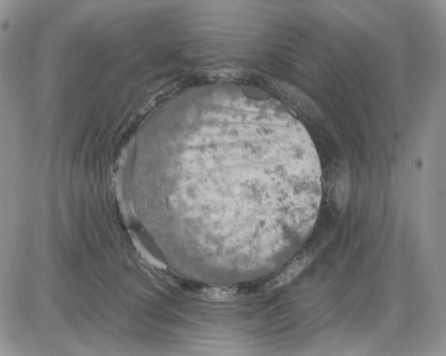 X0000081450660200701261914