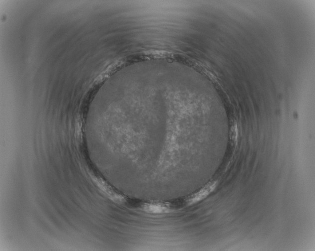 X0000081450662200701261914