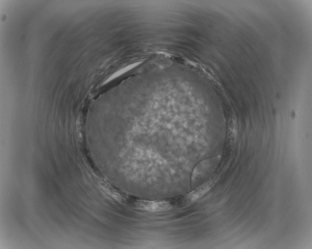 X0000081450663200701261914