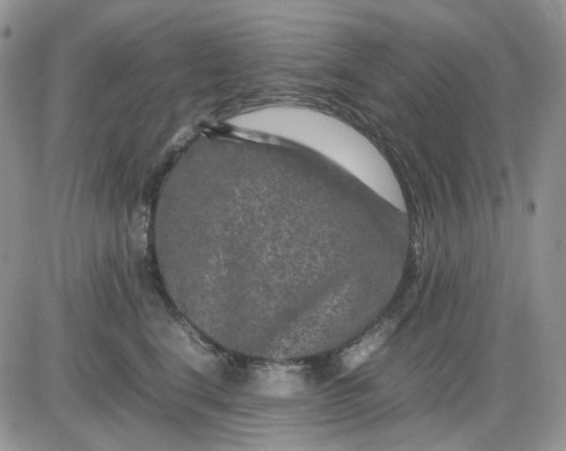 X0000081450664200701261914