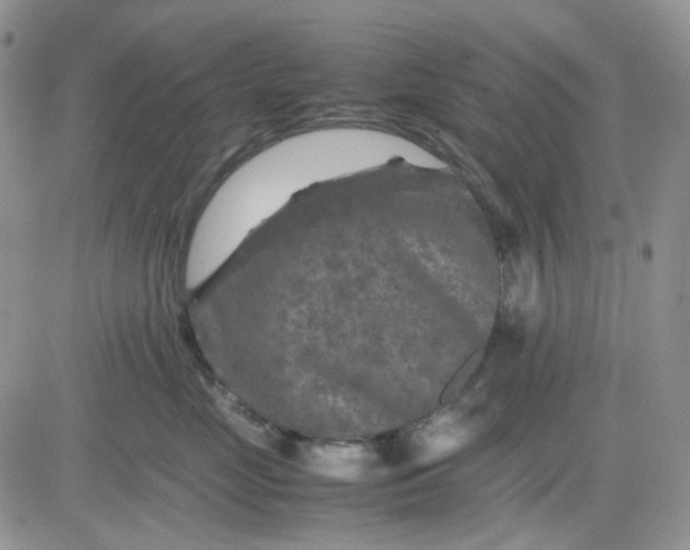 X0000081450669200701261914