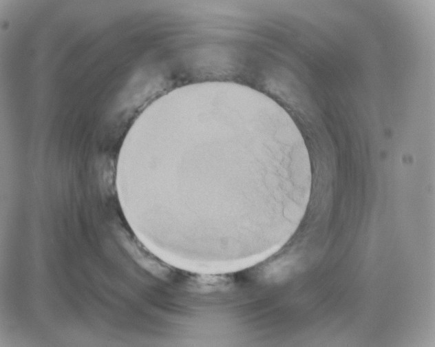 X0000081450672200701261914