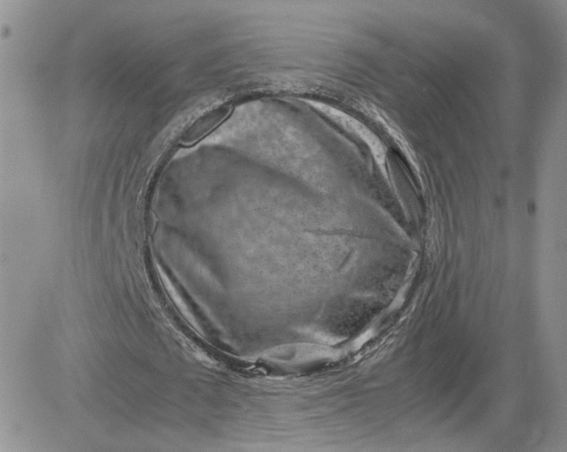 X0000081450673200701261913