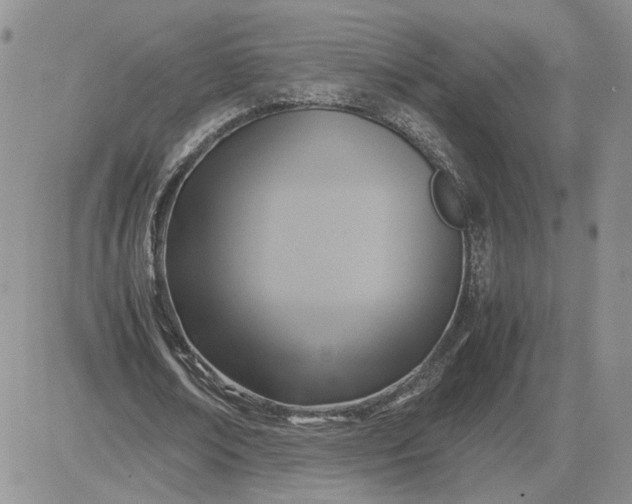 X0000081450674200701261913