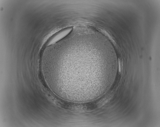 X0000081450675200701261913