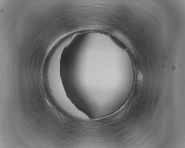 X0000081450676200701261913