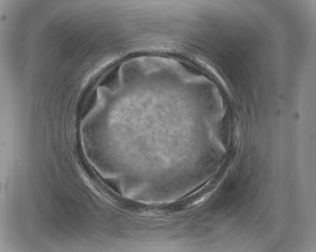 X0000081450677200701261913