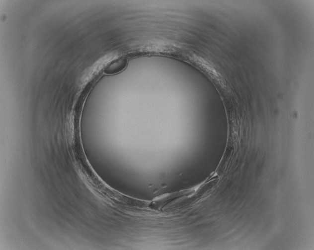 X0000081450678200701261913