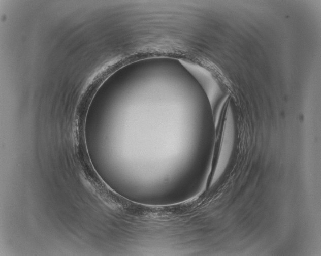 X0000081450680200701261913