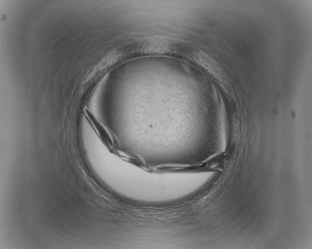 X0000081450681200701261913